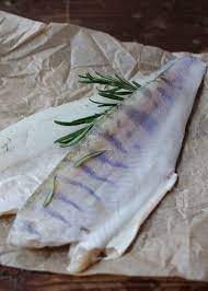 Где купить судака в Спб высокого качества? 3 Где купить судака в Спб высокого качества?