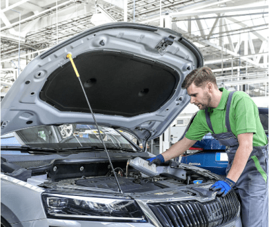 Шкода. Превосходство над временем и пространством