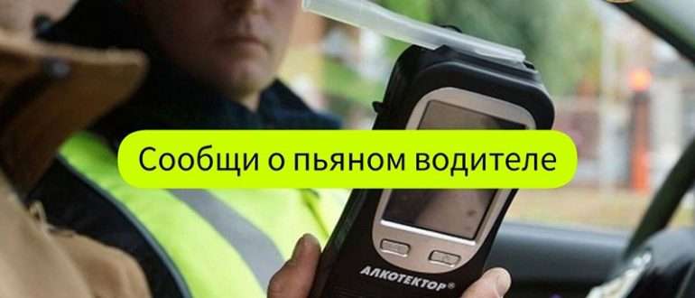 v gai sozdali chat bot v kotorom mozhno pozhalovatsya na pyanogo voditelya i poluchit nagradu