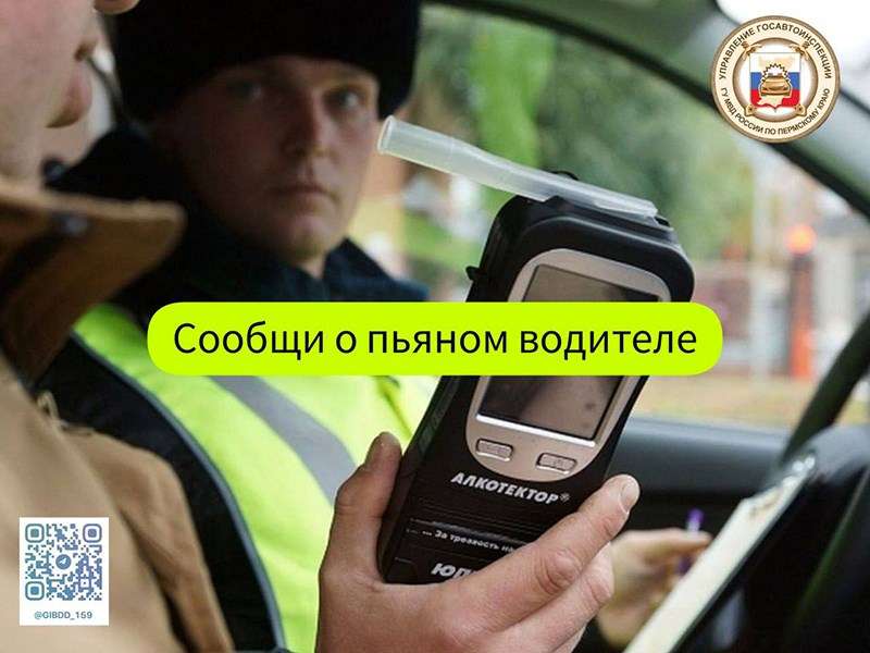 v gai sozdali chat bot v kotorom mozhno pozhalovatsya na pyanogo voditelya i poluchit nagradu