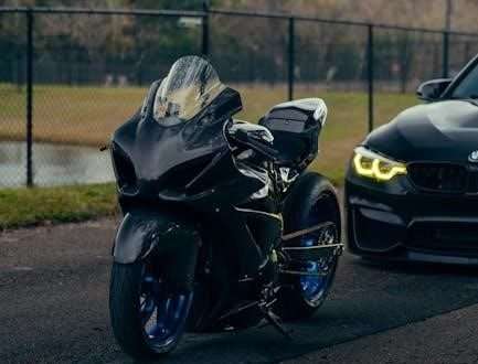 pexels photo 30666549