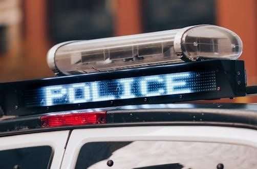 pexels photo 10543088