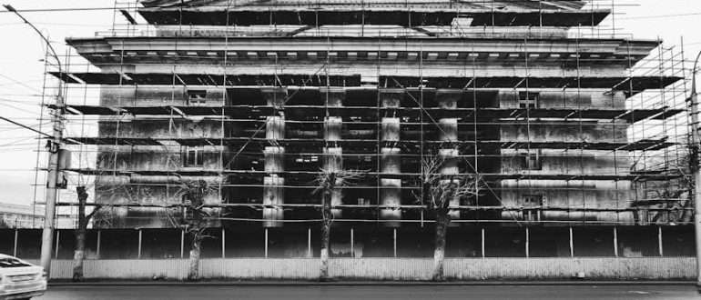 pexels photo 20426029