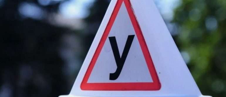 Водительские права: виды и способы получения